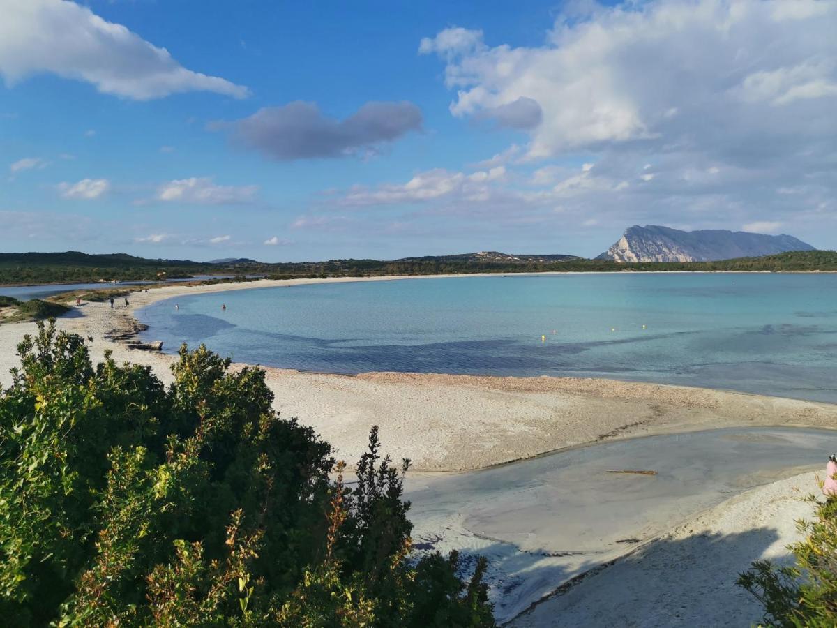 Hotel Wonderland San Teodoro  Zewnętrze zdjęcie