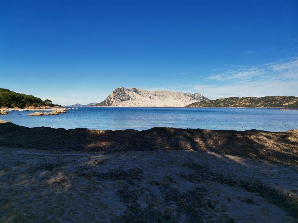 Hotel Wonderland San Teodoro  Zewnętrze zdjęcie