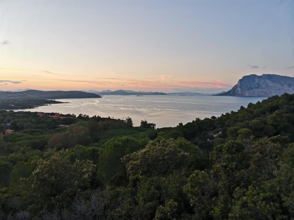 Hotel Wonderland San Teodoro  Zewnętrze zdjęcie