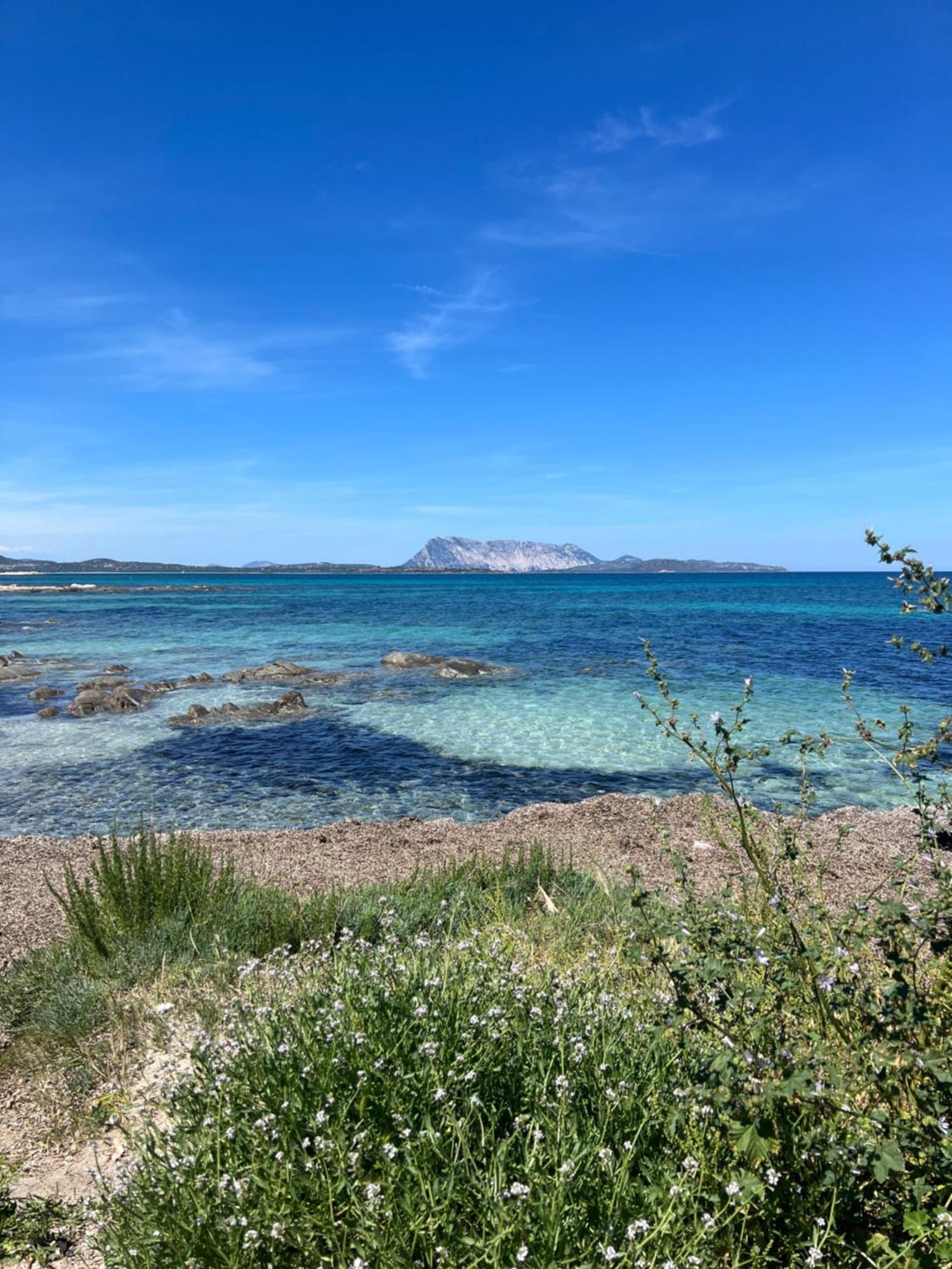 Hotel Wonderland San Teodoro  Zewnętrze zdjęcie