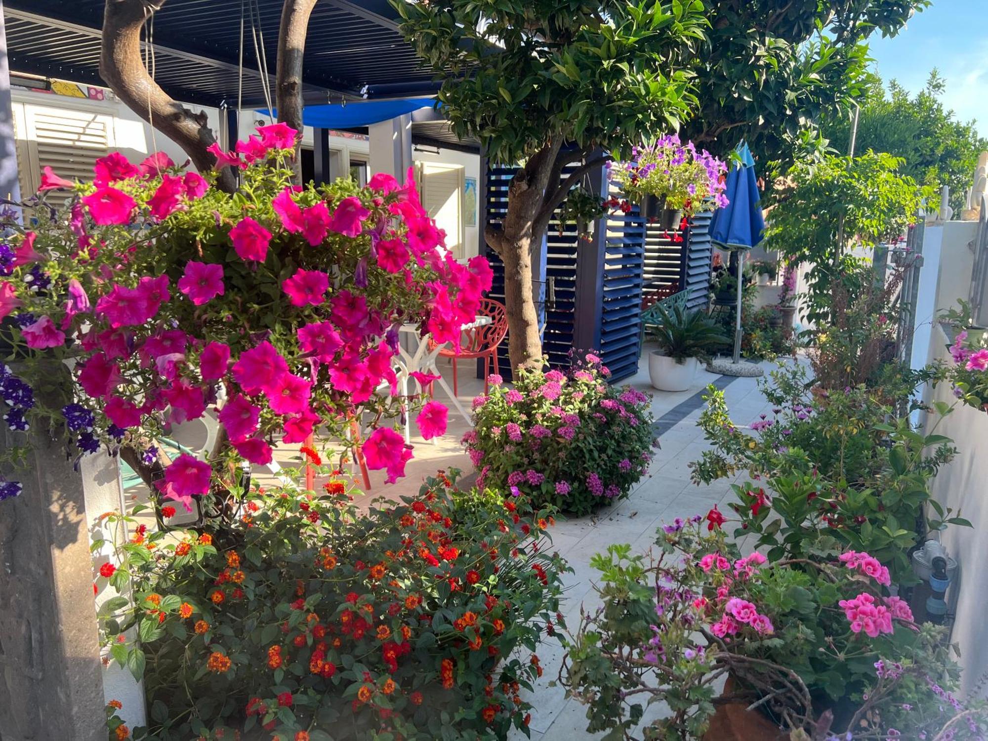 Hotel Wonderland San Teodoro  Zewnętrze zdjęcie