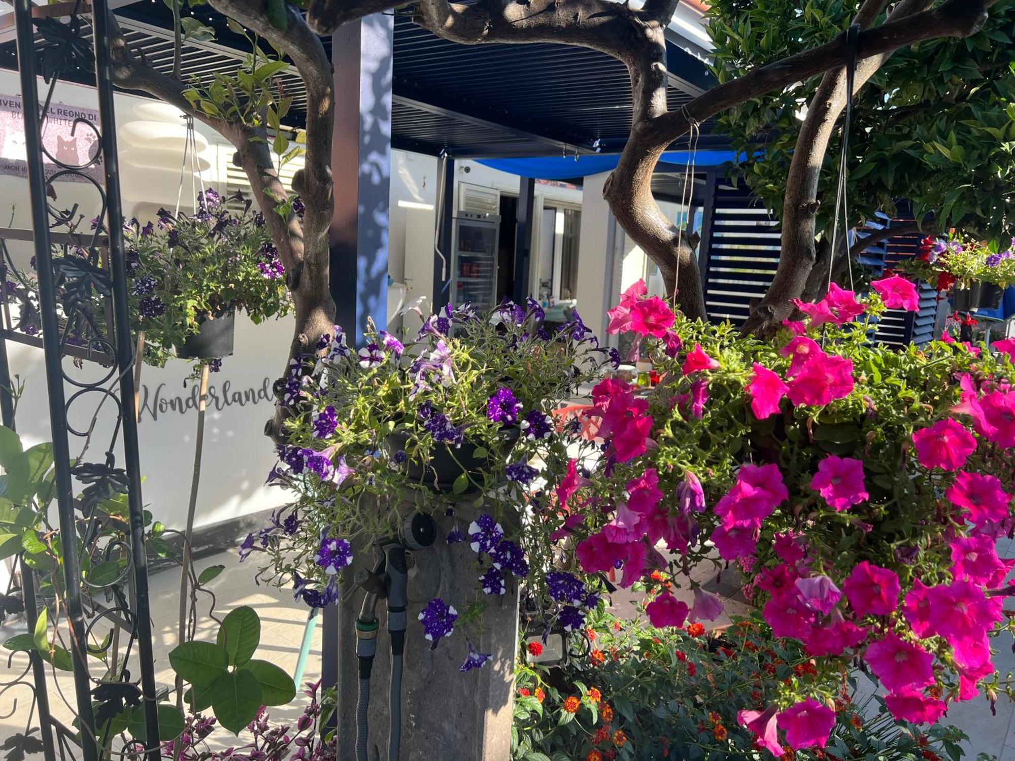 Hotel Wonderland San Teodoro  Zewnętrze zdjęcie